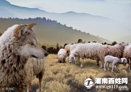 微信图片_20180410102035.jpg
