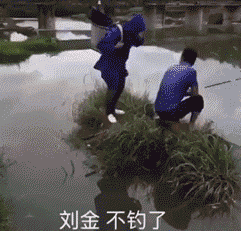 2.gif