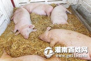 微信图片_20180416153210.jpg