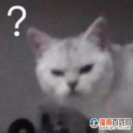 微信图片_20200211232027.jpg