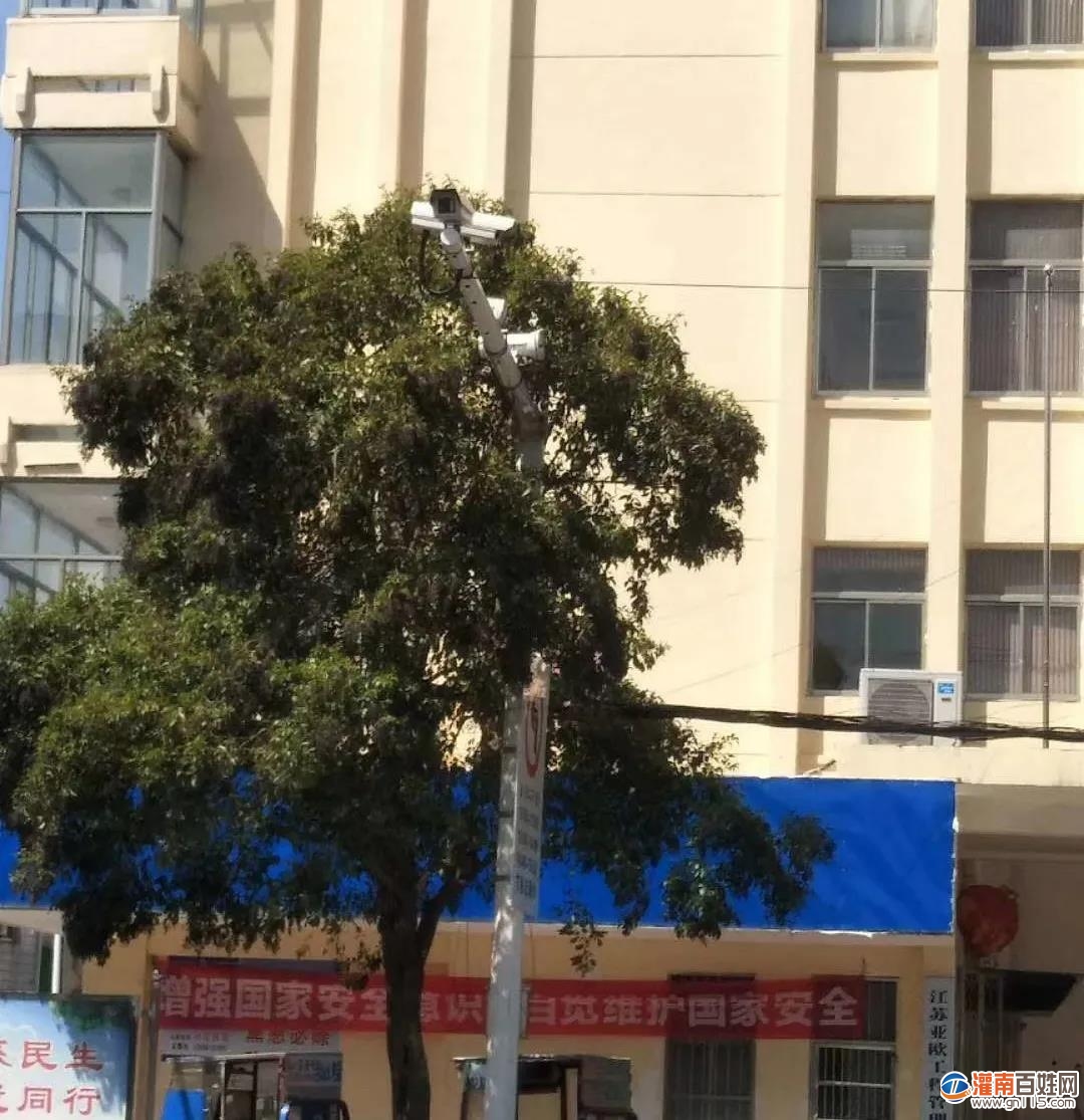 微信图片_20200511085812.jpg